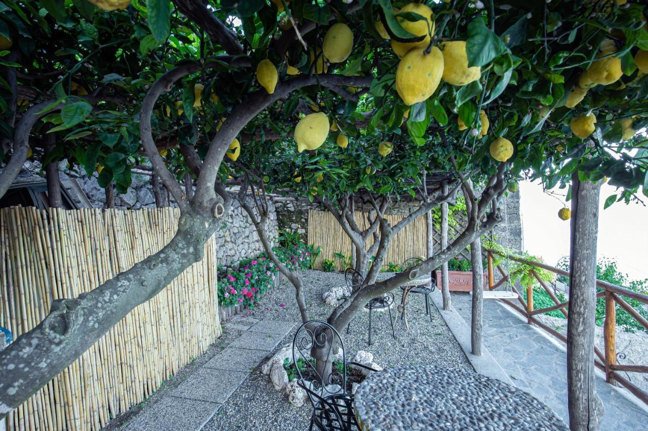 Villa Primavera Furore Εξωτερικό φωτογραφία